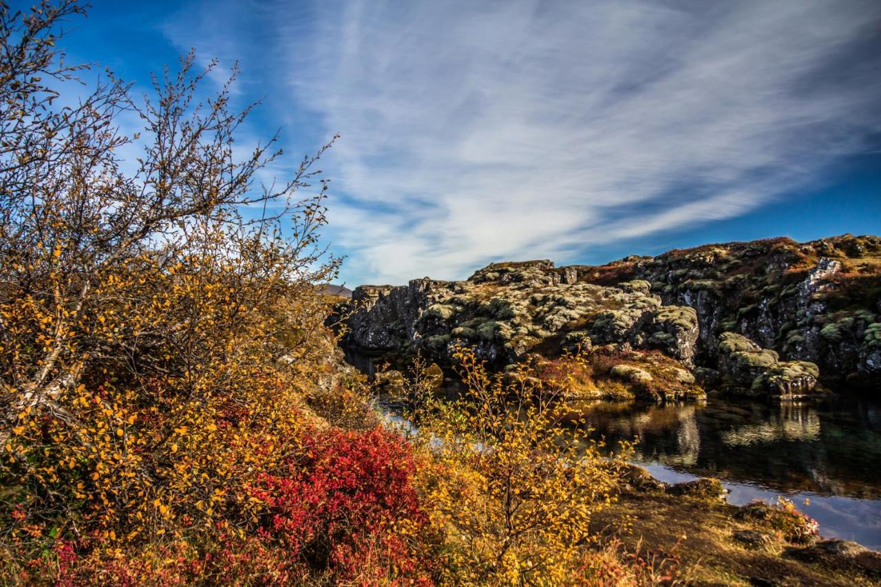 Blaskogabyggd Lake Thingvellir Cottages מראה חיצוני תמונה